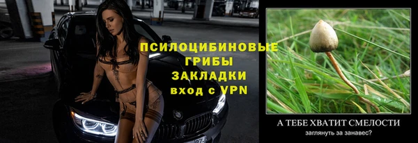 твердый Кинешма